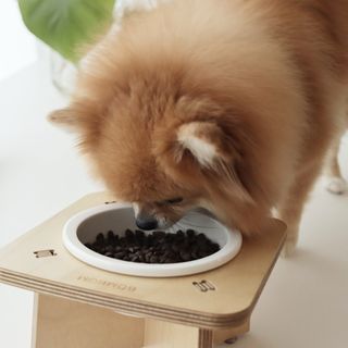 [푸디웜] 라포그  리얼인섹트 관절 저알러지 강아지 사료  1.2KG — 5점을 준 리뷰어가 2022년 8월 올린 사용 사진