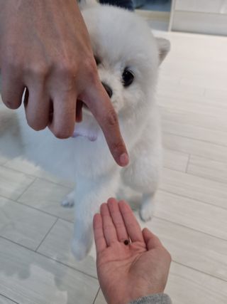 박쫑님이 올린 리뷰 사진 1