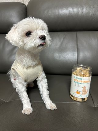 진님이 올린 리뷰 사진 3