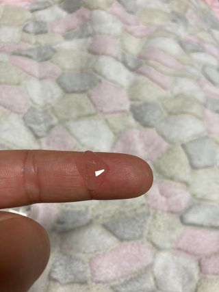 보크다님이 올린 리뷰 사진 3