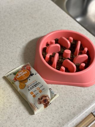 씨디랩 속이 편한 강아지 사료 소프트발란스 기호성 좋은 발효사료 피부와 위장 관절과 위장 — 5점을 준 리뷰어가 2021년 4월 올린 사용 사진