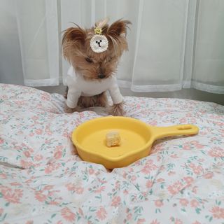 솜희님이 올린 리뷰 사진 2