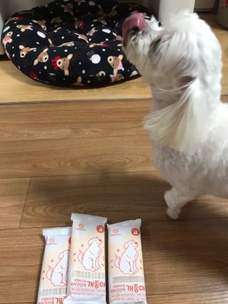 My Pet Care 모발과 모질 피부건강에 개좋아 — 5점을 준 리뷰어가 2021년 3월 올린 사용 사진