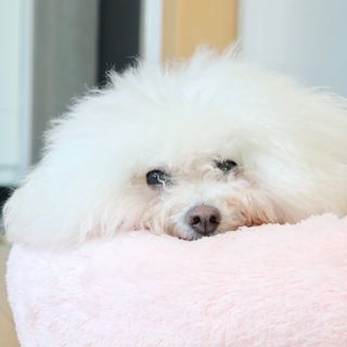 O리님이 올린 리뷰 사진 4