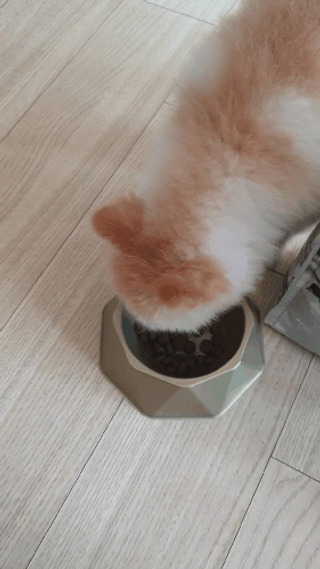 보미누나님이 올린 리뷰 사진 3