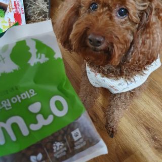 콩콩이님이 올린 리뷰 사진 2