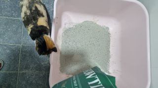 열일합시다님이 올린 리뷰 사진 2