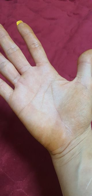 미진쓰님이 올린 리뷰 사진 3