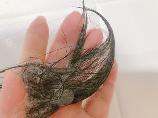 모닝스타님이 올린 리뷰 사진 2