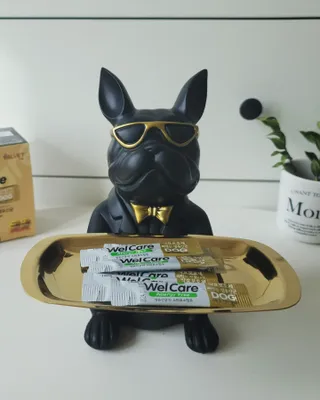 꼬꼬여왕님이 올린 리뷰 사진 2