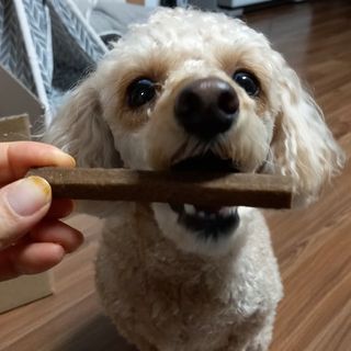 My Pet Care 천연단백질 치아건강에 개좋아 — 5점을 준 리뷰어가 2021년 1월 올린 사용 사진
