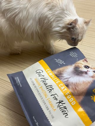 배수빈님이 올린 리뷰 사진 1