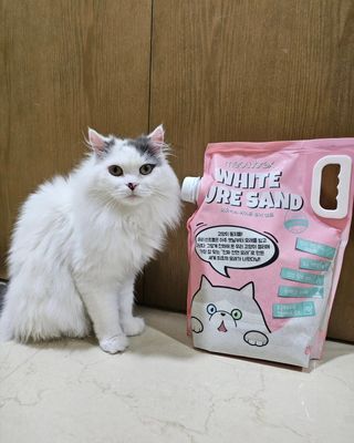 으하하하하님이 올린 리뷰 사진 1