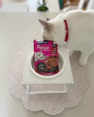 비타크래프트 포에시 델리스 고양이 파우치 85g 9가지맛 1팩씩 — 5점을 준 리뷰어가 2021년 8월 올린 사용 사진