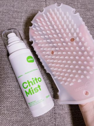 whol 키토미스트 150ml + 실리콘바디브러쉬  강아지 고양이 항균항바이러스, 강력탈취 피부 보습,무향 — 5점을 준 리뷰어가 2022년 9월 올린 사용 사진
