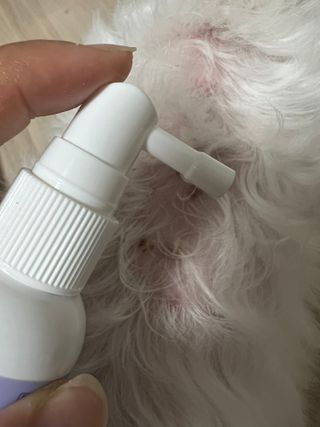 chloe님이 올린 리뷰 사진 3