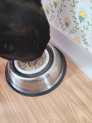 윤세둥이님이 올린 리뷰 사진 4