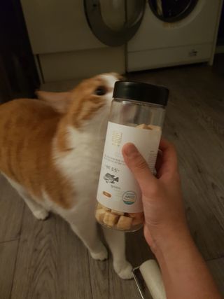 냥냥짱님이 올린 리뷰 사진 2