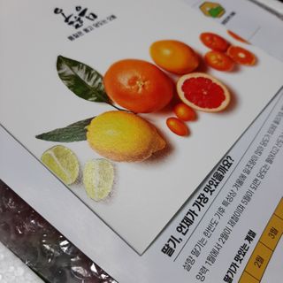 옳음 딸기 논산 설향 딸기 900g 산지직송 — 5점을 준 리뷰어가 2021년 1월 올린 사용 사진