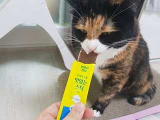 페페로니 맛있는 스틱 - 무항생제 닭고기 15개 + 원양선 참치 15개 — 5점을 준 리뷰어가 2021년 7월 올린 사용 사진
