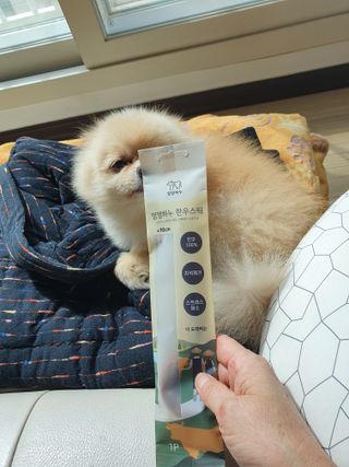 보미누나님이 올린 리뷰 사진 3