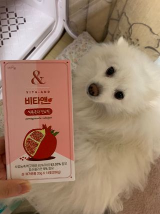 구름님이 올린 리뷰 사진 1