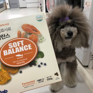 十二夜님이 올린 리뷰 사진 1