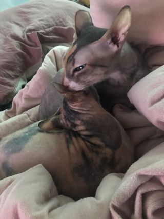 이아님이 올린 리뷰 사진 1