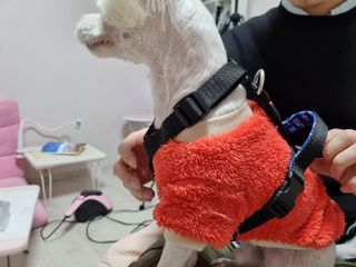 노지혜님이 올린 리뷰 사진 3