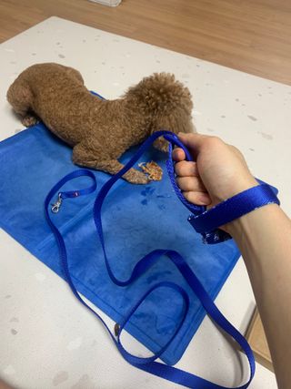 창모니님이 올린 리뷰 사진 3