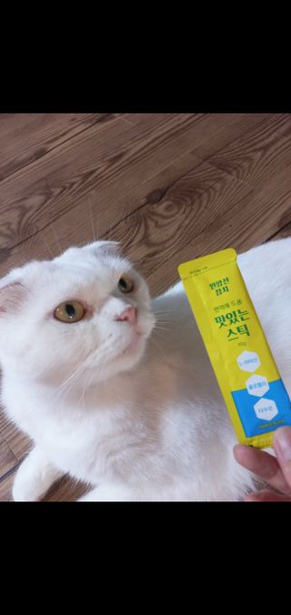 좋아님이 올린 리뷰 사진 3