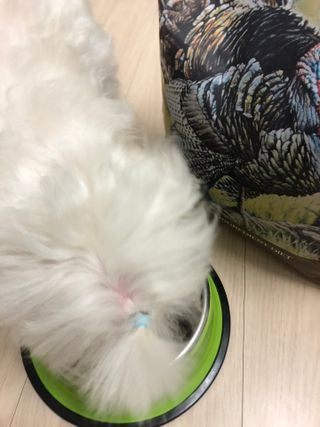 지구별철학자님이 올린 리뷰 사진 4