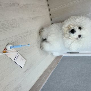 나리니님이 올린 리뷰 사진 4