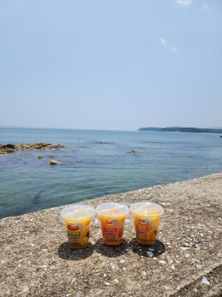 돌 MF[Dole] 파인애플컵/망고컵/복숭아컵 198g 6입X1박스 (맛 1가지 랜덤 발송) — 5점을 준 리뷰어가 2023년 6월 올린 사용 사진
