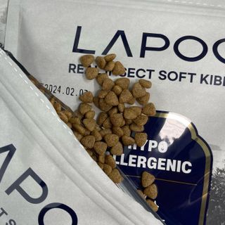 [푸디웜] 라포그 리얼인섹트 소프트키블 스킨 1KG — 5점을 준 리뷰어가 2022년 9월 올린 사용 사진