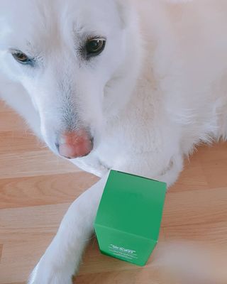 블랙페블 남성청결제 올인원 바디워시 클린 웨이브 — 5점을 준 리뷰어가 2021년 4월 올린 사용 사진