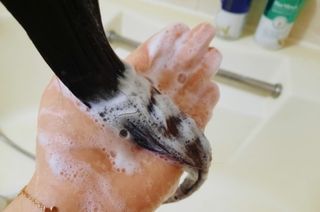 무고몽님이 올린 리뷰 사진 2