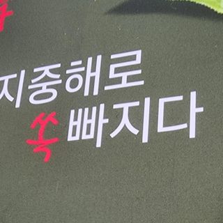 클린24시간 지중해로 쏙빠지다 1SET (800mg*60정) — 5점을 준 리뷰어가 2023년 8월 올린 사용 사진