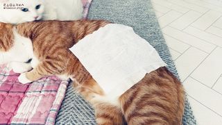 토모님이 올린 리뷰 사진 3