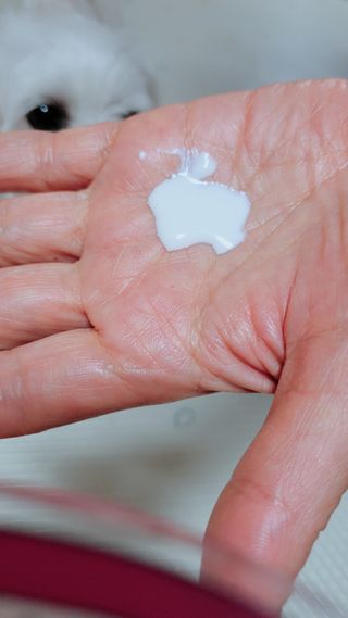 스킨큐어 산다화 유기농 레몬썬크림 — 5점을 준 리뷰어가 2022년 4월 올린 사용 사진