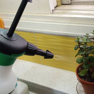 신선님이 올린 리뷰 사진 1