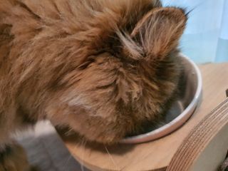 김빠비님이 올린 리뷰 사진 3