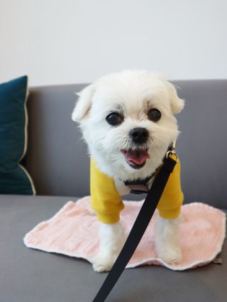 송린깡님이 올린 리뷰 사진 1