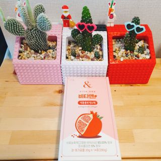 제인무탄바님이 올린 리뷰 사진 3