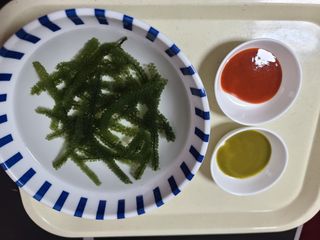 [피터씨마켓] 바다포도 100g(20g x 5봉) 우미부도 그린캐비어 ASMR 소분포장 — 5점을 준 리뷰어가 2024년 8월 올린 사용 사진