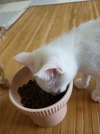 꽁남쓰님이 올린 리뷰 사진 4