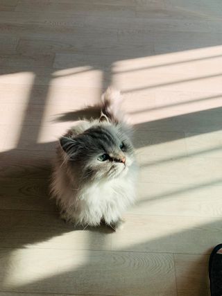 정원님이 올린 리뷰 사진 3