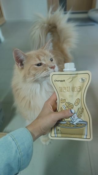 시묘님이 올린 리뷰 사진 1