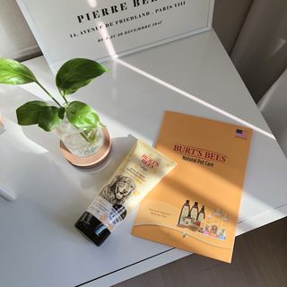 솜솜이2님이 올린 리뷰 사진 1