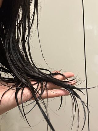 까눌렝님이 올린 리뷰 사진 4